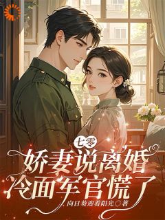 七零，娇妻说离婚，冷面军官慌了在线阅读 沈黎书贺萧免费小说精彩章节-二筒文学网
