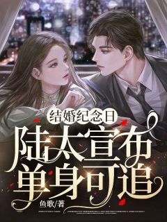 黎早陆向宁主角的小说完结版结婚纪念日，陆太宣布单身可追全集