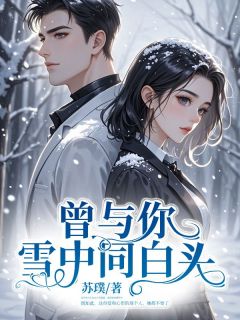 无弹窗小说曾与你雪中同白头 作者苏璞