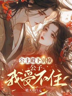 林心玲珑小说抖音热文公主殿下别撩，公子我受不住完结版