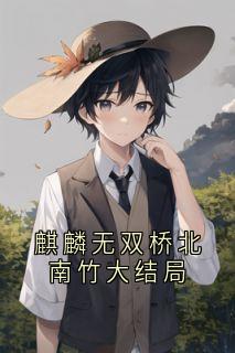 麒麟无双桥北南竹大结局穆嘉楠夏祁风大结局小说全章节阅读-二筒文学网