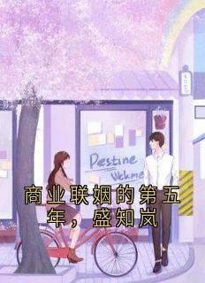 抖音小说商业联姻的第五年，盛知岚，主角盛知岚时远帆最后结局小说全文免费