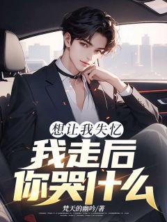 梵天的幽吟的小说想让我失忆，我走后，你哭什么全文阅读