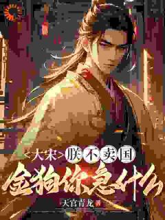 书荒必备大宋：朕不卖国，金狗你急什么全文章节阅读