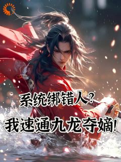 小说系统绑错人？我速通九龙夺嫡！主角为李岩红渔免费阅读-二筒文学网