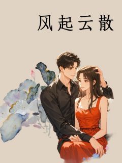 风起云散(李婉婷季云)小说全章节目录阅读