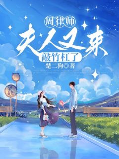 周律师，夫人又来敲竹杠了小说最新章节 苏柠周聿琛结局是什么-二筒文学网