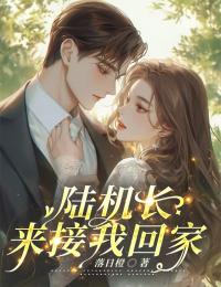 精选好书陆机长，来接我回家无删减版全文在线