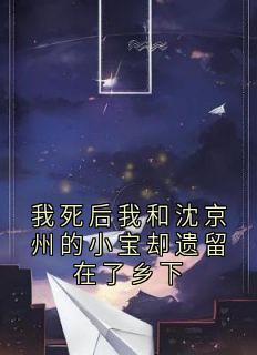 沈京州小宝小说最后结局  沈京州小宝完结版免费阅读