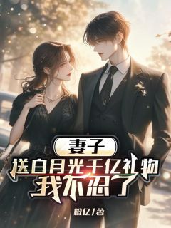 妻子送白月光千亿礼物，我不忍了小说顾砚秋江昭昭最新章节阅读