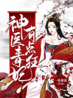 神医毒妃有点狂小说全集(孟繁落容成崇湳)无弹窗广告阅读