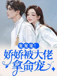 叶初夏陆执小说无广告阅读