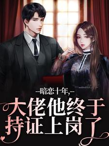 暗恋十年，大佬他终于持证上岗了小说的书名是什么