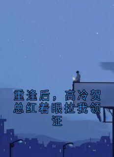 重逢后，高冷贺总红着眼拉我领证小说全章节目录阅读BY乔晚柠完结版阅读-二筒文学网