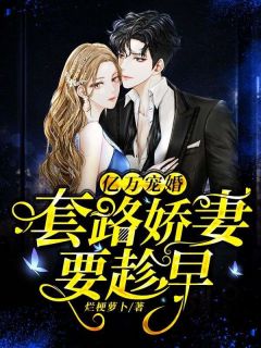 爆款小说由作者烂梗萝卜所创作的亿万宠婚：套路娇妻要趁早在线阅读