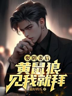 谢清贺星晨章节免费阅读