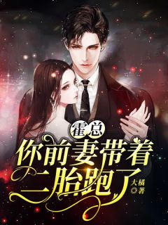 好书推荐霍总，你前妻带着二胎跑了阮新月霍谨言全文在线阅读