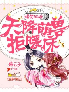 爆笑洞房：天降萌兽拒暖床小说(完结版)-苏冉冉夜翊风在线阅读