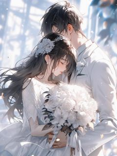 快手苏宁羽秦子墨主角的小说全本章节大结局