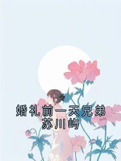 小说推荐婚礼前一天兄弟苏川屿完结版全章节阅读