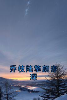 乔枝陆擎颜亦琛（全本）乔枝陆擎完整章节列表免费阅读-二筒文学网