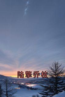 【热文】陆擎乔枝主角乔枝陆擎小说全集免费阅读-二筒文学网