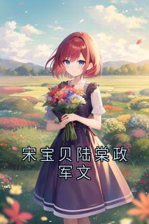精彩小说宋宝贝陆棠政军文宋钦雪陆希澈全章节在线阅读-二筒文学网