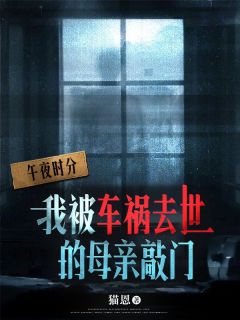 车祸母亲敲门by猫恩免费阅读小说大结局