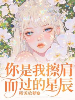 叶洵知沈安芸顾承沨全文最新章节正版小说免费阅读-二筒文学网