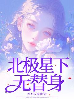 北极星下无替身小说在线阅读，主角沈宛陆少鸣精彩段落最新篇-二筒文学网