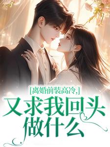 离婚前装高冷，又求我回头做什么小说最新章节-主角苏念封临汐全文免费阅读-二筒文学网