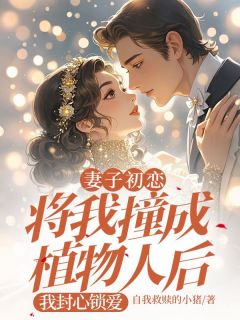 妻子初恋将我撞成植物人后，我封心锁爱快手热推邵川季漾邵宴免费阅读-二筒文学网