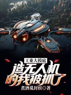 抖音穿越平行世界的林锐小说章节阅读