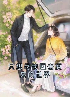只想尽快回去原来的世界是什么小说许枫闻懿宋燃全本免费阅读-二筒文学网