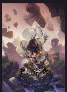 龙长栋彭友大顺是哪本小说主角 晴川佛头免费全章节阅读