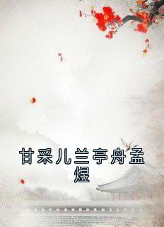 甘采儿兰亭舟小说最后结局  甘采儿兰亭舟完结版免费阅读-二筒文学网