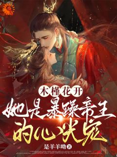 木槿花开，她是暴躁帝王的心尖宠木槿萧承琰无广告在线阅读-二筒文学网