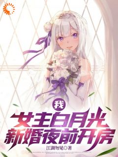 老书虫推荐我，女主白月光，新婚夜前开房 在线阅读