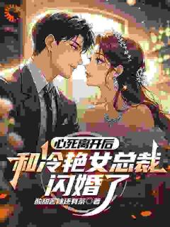 心死离开后，和冷艳女总裁闪婚了未删减阅读