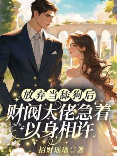 沈清禾爱了宋逸多年章节目录小说-沈清禾秦溯宋逸免费阅读全文