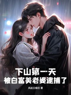 作者风起云痴狂写的下山第一天，被白富美老婆逮捕了小说大结局全章节阅读-二筒文学网