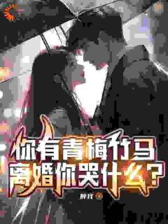 精选好书你有青梅竹马，离婚你哭什么？无删减版全文在线