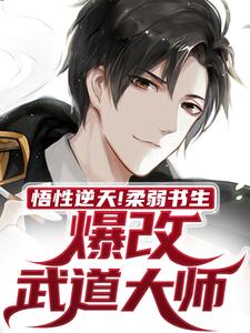 精品小说悟性逆天！柔弱书生爆改武道大师全文目录畅读-二筒文学网