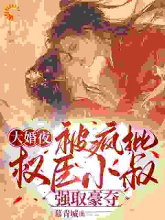 大婚夜，被疯批权臣小叔强取豪夺在线阅读 陈芙陈堇免费小说精彩章节