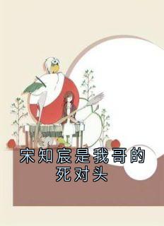 宋知宸是我哥的死对头在线全文阅读-主人公宋知宸陈笙笙小说-二筒文学网