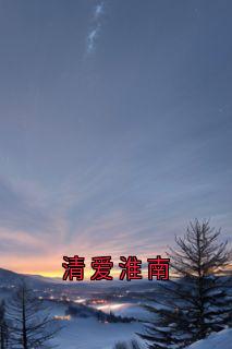 快手清爱淮南小说全本章节大结局