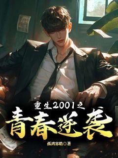 重生2001之青春逆袭叶枫李蔓无广告在线阅读