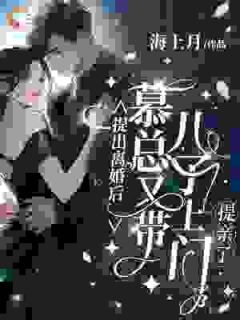 江念慕南辞小说抖音热文提出离婚后，慕总又带儿子上门提亲了！完结版