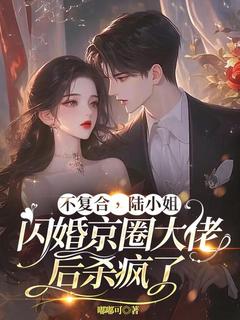 嘟嘟可写的小说不复合，陆小姐闪婚京圈大佬后杀疯了在线阅读