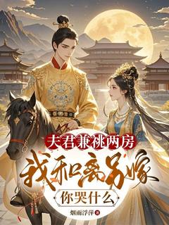 夫君兼祧两房，我和离另嫁，你哭什么姜清雅柯峥全章节目录免费阅读-二筒文学网